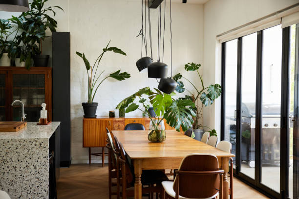indoor plants for living room as per vastu