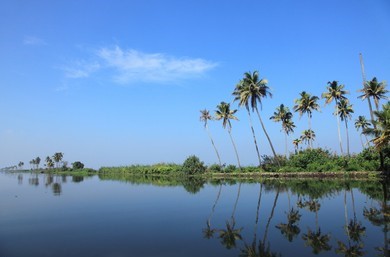 fair value of land in Kerala
